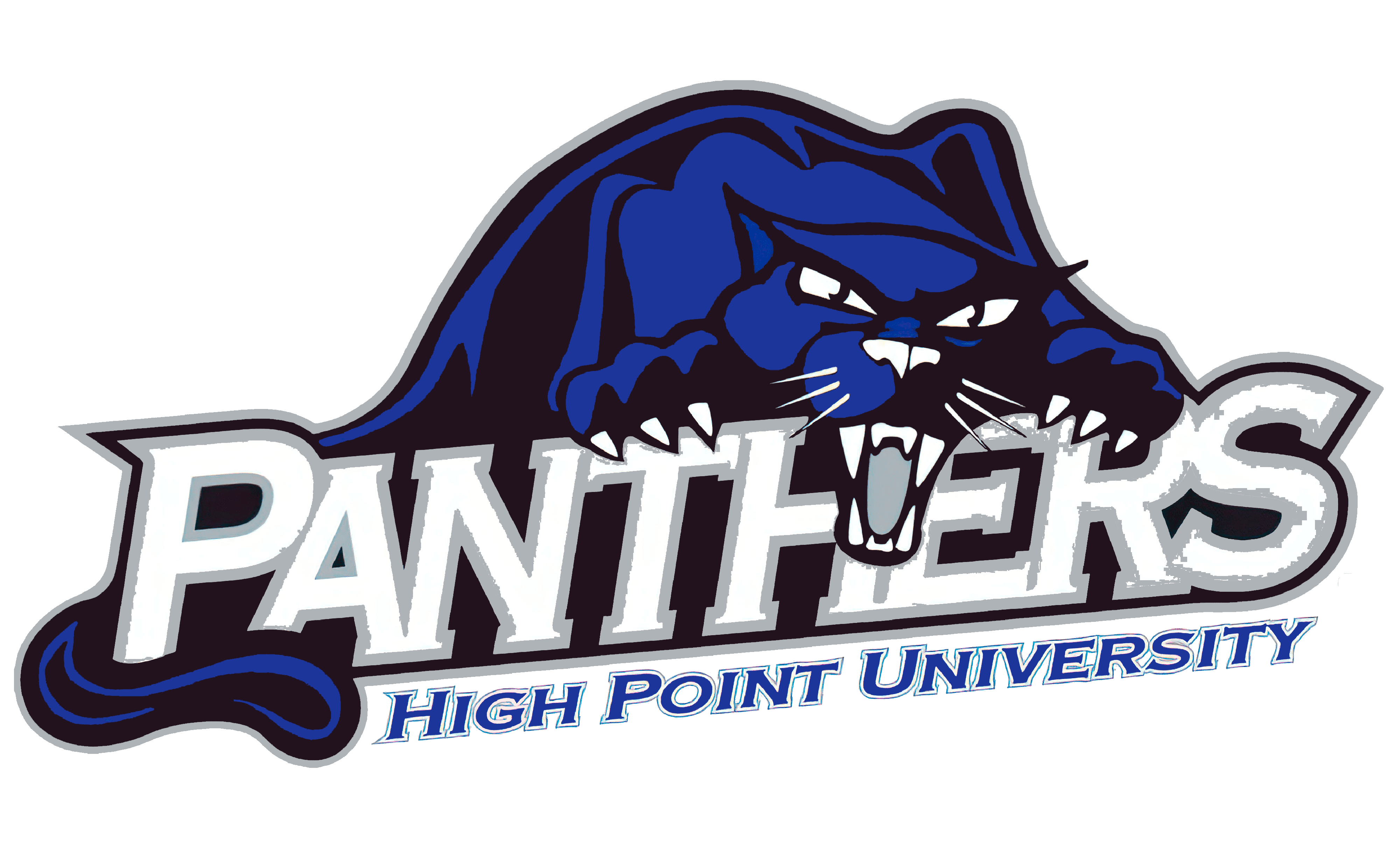 High Point Panthers